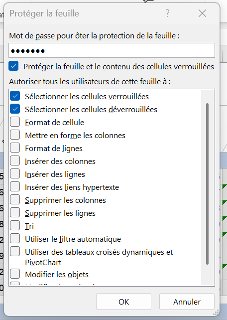 password protection screenshot FR.png