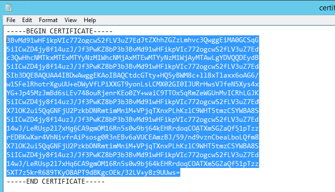 9certificate.png